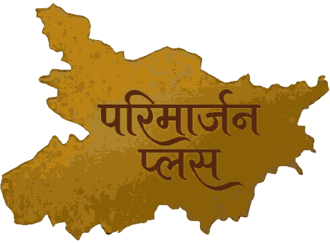 परिमार्जन प्लस
